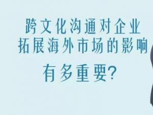 企业如何在国际化市场中快速应对海外文化差异？