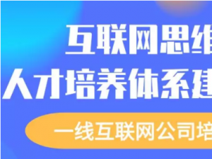 互联网思维下的人才培养体系建设与实践